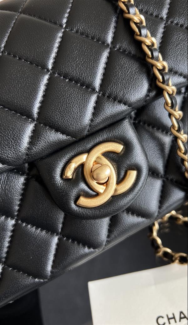 2026131214225442 670